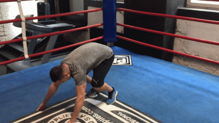 450_e20fd7ab6a178ee970e17e859f35d026.gif
